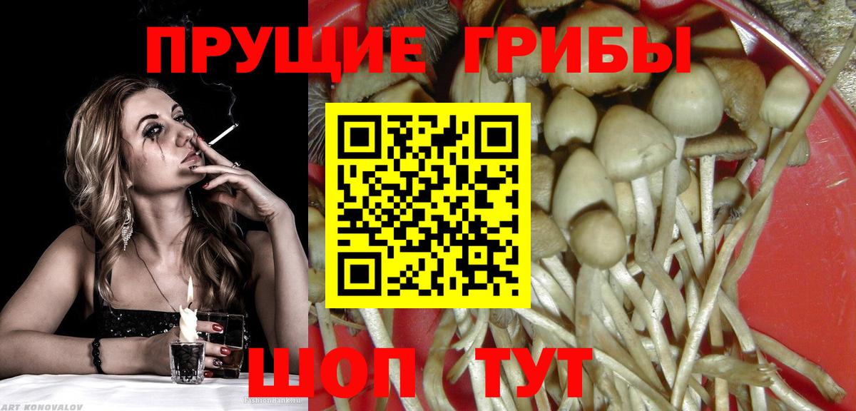 Галлюциногенные грибы Cubensis Уварово